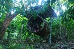 DSC09222