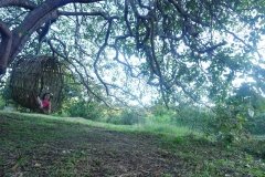 DSC09288