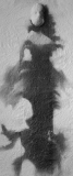 Figura-nr-2