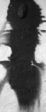 Figura-nr-6