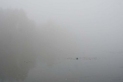 01-4