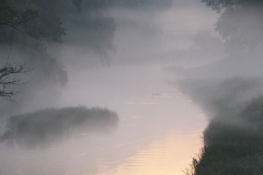 01-5