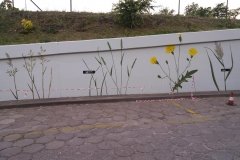 20170529_202614