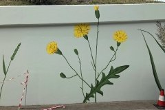 IMG_1457
