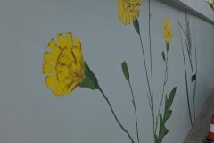 IMG_1459