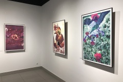 image12