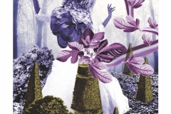 image17
