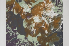 Kacprzak_Anna_Przemiany-3_Serigrafia-i-odprysk_50x66-cm._2019