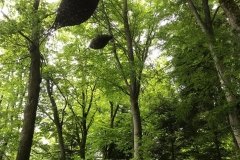 IMG_0502