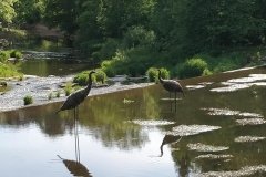 IMG_20190601_174226