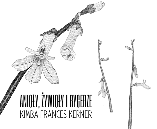 Anioły, Żywioły i Rycerze Kimby Frances Kerner